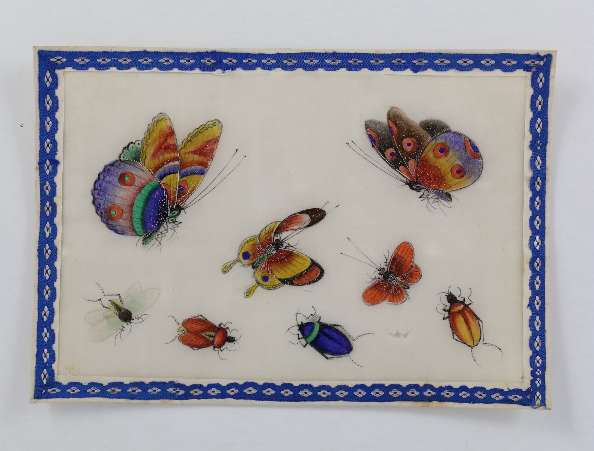A set of twelve Chinese pith paintings of butterflies and insects, mid 19th century, total size 18cm x 12.2cm, small holes to paper